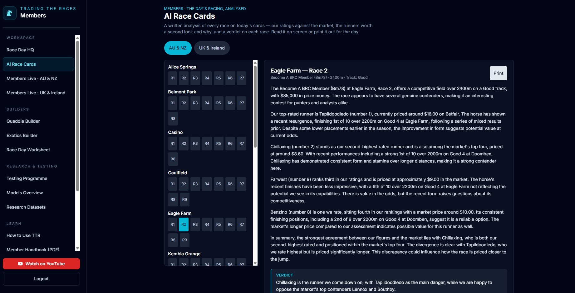 AI Race Cards — the day's meetings listed race by race, with a written analysis of the selected race and a separate verdict block at the end